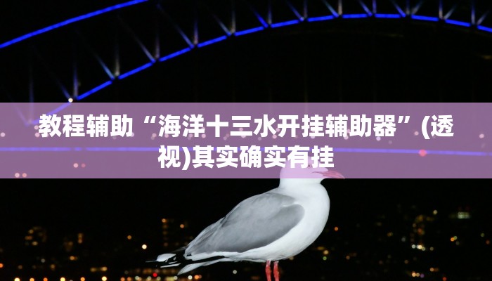 教程辅助“海洋十三水开挂辅助器”(透视)其实确实有挂 教程辅助“海洋十三水开挂辅助器”(透视)其实确实有挂