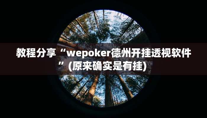 教程分享“wepoker德州开挂透视软件”(原来确实是有挂) 