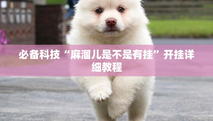 必备科技“麻溜儿是不是有挂”开挂详细教程