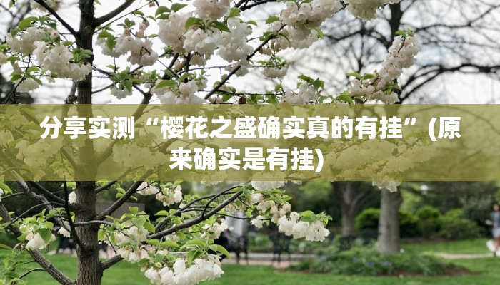 分享实测“樱花之盛确实真的有挂”(原来确实是有挂) 分享实测“樱花之盛确实真的有挂”(原来确实是有挂)