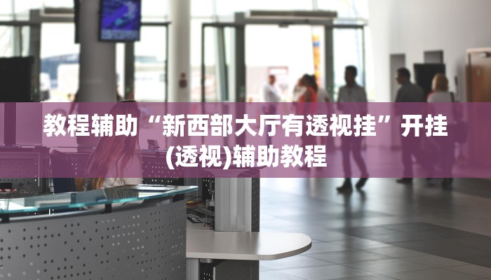 教程辅助“新鸿狐大厅透视挂”2025开挂教程步骤