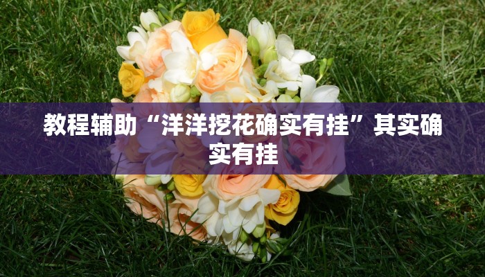 教程辅助“洋洋挖花确实有挂”其实确实有挂