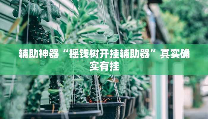 辅助神器“摇钱树开挂辅助器”其实确实有挂 辅助神器“摇钱树开挂辅助器”其实确实有挂