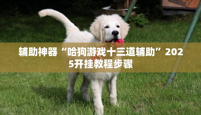 辅助神器“哈狗游戏十三道辅助”2025开挂教程步骤