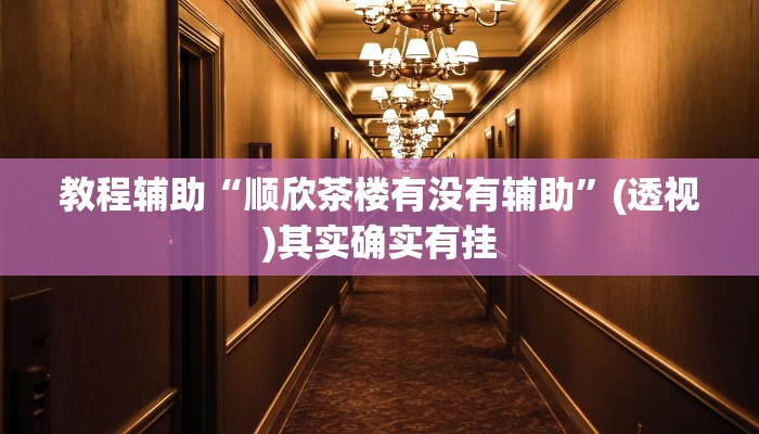 教程辅助“顺欣茶楼有没有辅助”(透视)其实确实有挂 教程辅助“顺欣茶楼有没有辅助”(透视)其实确实有挂