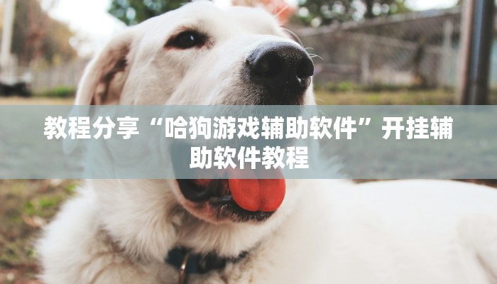 辅助神器“鸿狐大厅透视神器下载”开挂(透视)辅助教程