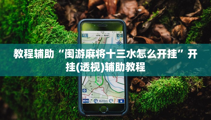 教程辅助“闽游麻将十三水怎么开挂”开挂(透视)辅助教程