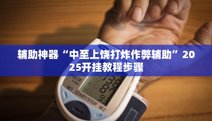 辅助神器“中至上饶打炸作弊辅助”2025开挂教程步骤