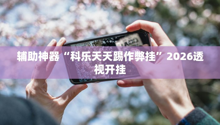 辅助神器“科乐天天踢作弊挂”2026透视开挂