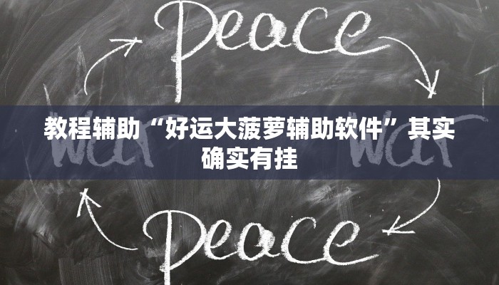 教程辅助“好运大菠萝辅助软件”其实确实有挂