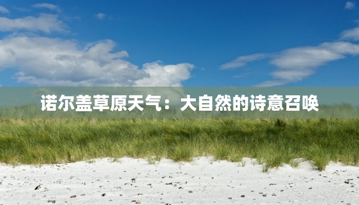 教程分享“启东牌缘到底有挂吗”2026透视开挂 教程分享“启东牌缘到底有挂吗”2026透视开挂