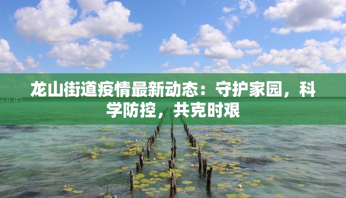 辅助神器“旺旺闽南麻将真的有开挂胜率”开挂(透视)辅助教程