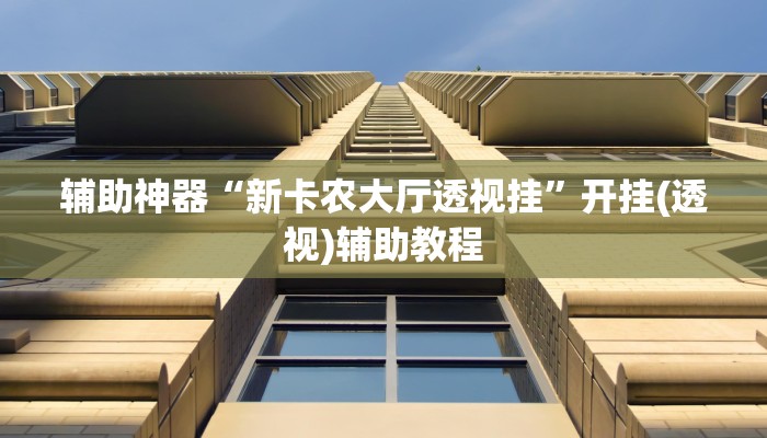 辅助神器“新卡农大厅透视挂”开挂(透视)辅助教程