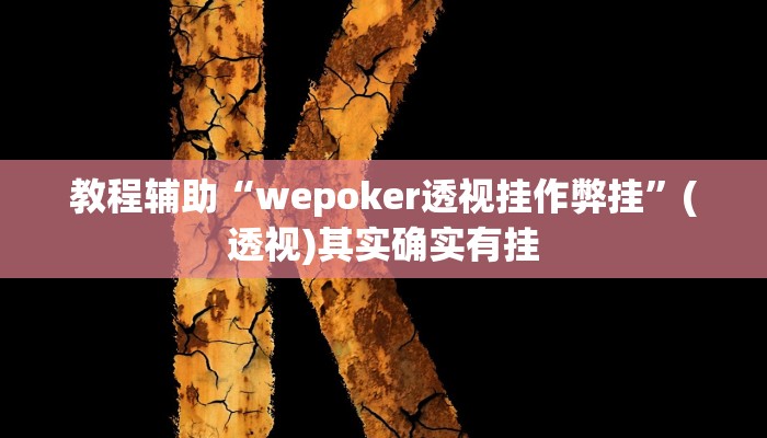 教程辅助“wepoker透视挂作弊挂”(透视)其实确实有挂