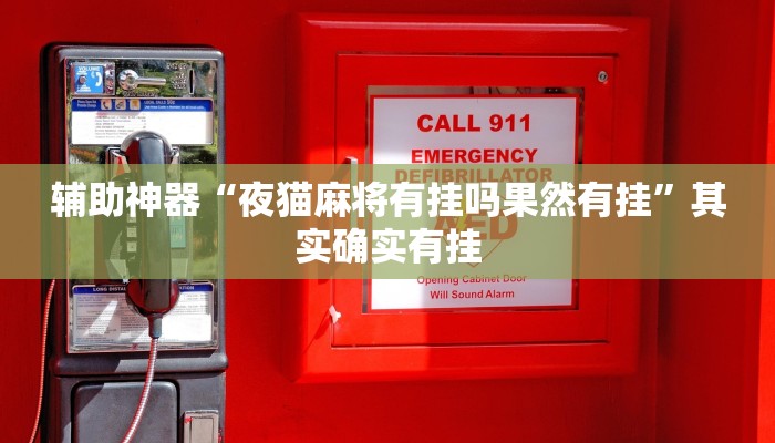 辅助神器“夜猫麻将有挂吗果然有挂”其实确实有挂