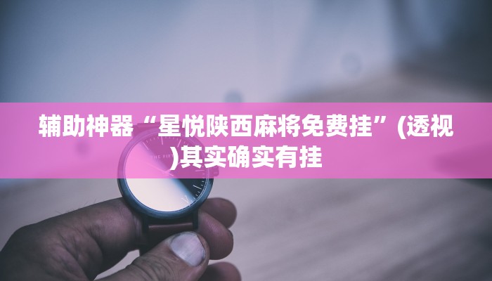 辅助神器“微乐甘肃麻将开挂神器下载”开挂(透视)辅助教程