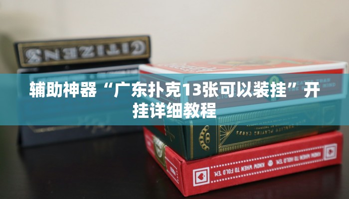 辅助神器“广东扑克13张可以装挂”开挂详细教程