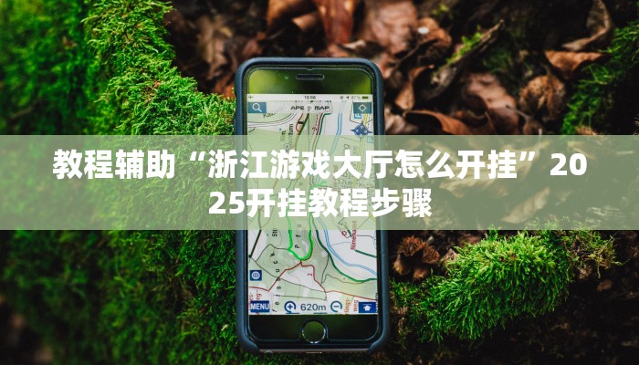 教程辅助“浙江游戏大厅怎么开挂”2025开挂教程步骤