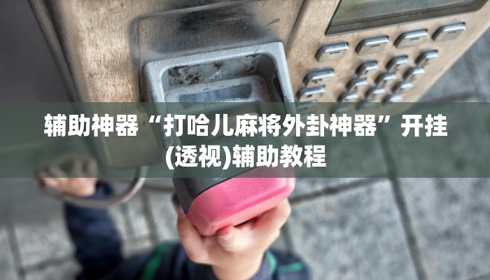 辅助神器“打哈儿麻将外卦神器”开挂(透视)辅助教程 辅助神器“打哈儿麻将外卦神器”开挂(透视)辅助教程