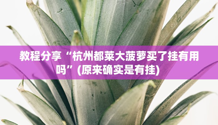 教程分享“杭州都莱大菠萝买了挂有用吗”(原来确实是有挂) 
