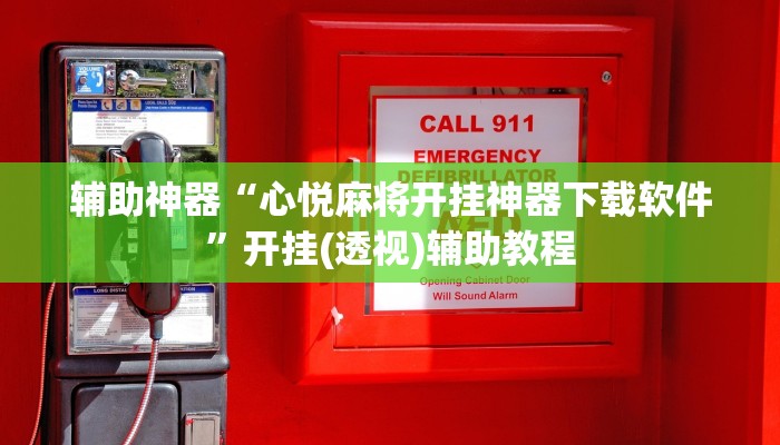 辅助神器“心悦麻将开挂神器下载软件”开挂(透视)辅助教程 辅助神器“心悦麻将开挂神器下载软件”开挂(透视)辅助教程