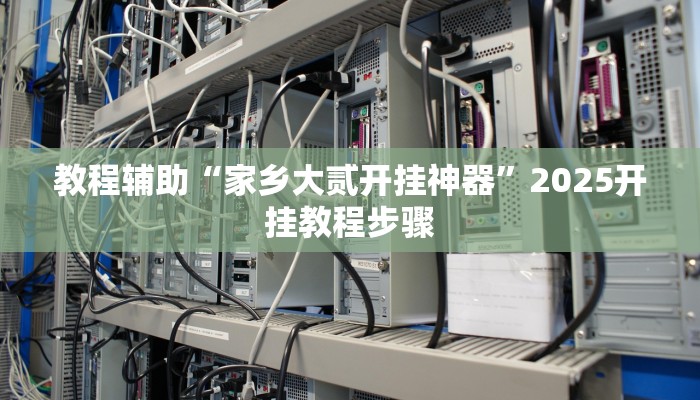 教程辅助“家乡大贰开挂神器”2025开挂教程步骤