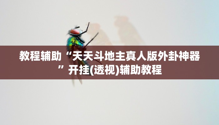 教程辅助“天天斗地主真人版外卦神器”开挂(透视)辅助教程