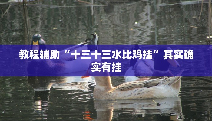 教程辅助“十三十三水比鸡挂”其实确实有挂 教程辅助“十三十三水比鸡挂”其实确实有挂
