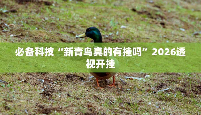必备科技“新青鸟真的有挂吗”2026透视开挂 必备科技“新青鸟真的有挂吗”2026透视开挂