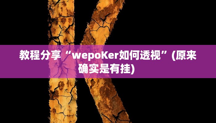 教程分享“wepoKer如何透视”(原来确实是有挂) 