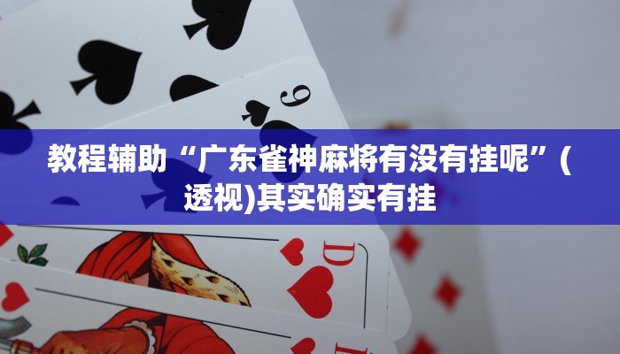 教程辅助“广东雀神麻将有没有挂呢”(透视)其实确实有挂 教程辅助“广东雀神麻将有没有挂呢”(透视)其实确实有挂
