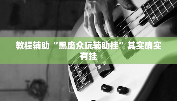 教程辅助“黑鹰众玩辅助挂”其实确实有挂 教程辅助“黑鹰众玩辅助挂”其实确实有挂