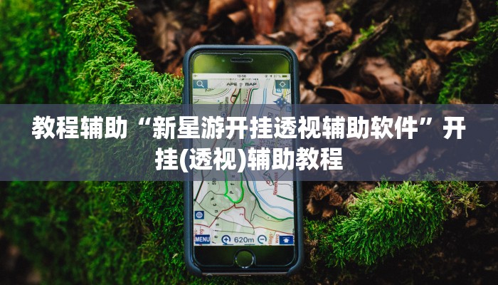 教程辅助“新星游开挂透视辅助软件”开挂(透视)辅助教程 教程辅助“新星游开挂透视辅助软件”开挂(透视)辅助教程