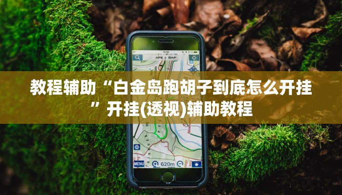 教程辅助“白金岛跑胡子到底怎么开挂”开挂(透视)辅助教程