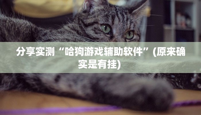 分享实测“哈狗游戏辅助软件”(原来确实是有挂) 