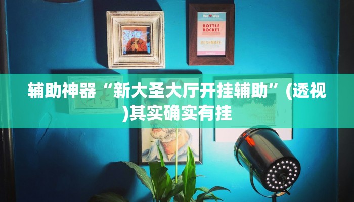 辅助神器“新大圣大厅开挂辅助”(透视)其实确实有挂