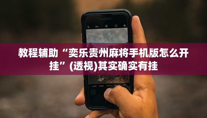 教程辅助“奕乐贵州麻将手机版怎么开挂”(透视)其实确实有挂