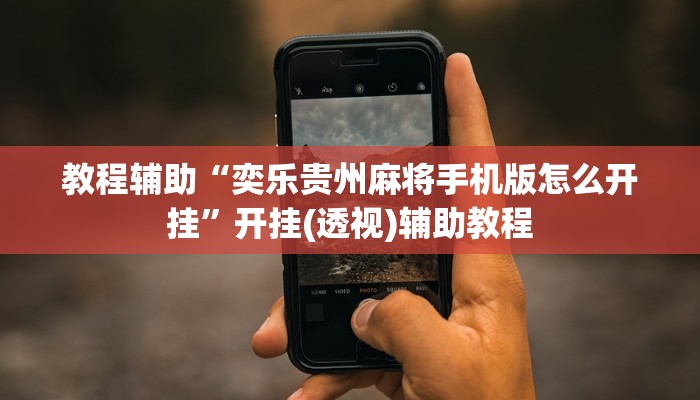 教程辅助“奕乐贵州麻将手机版怎么开挂”开挂(透视)辅助教程 教程辅助“奕乐贵州麻将手机版怎么开挂”开挂(透视)辅助教程