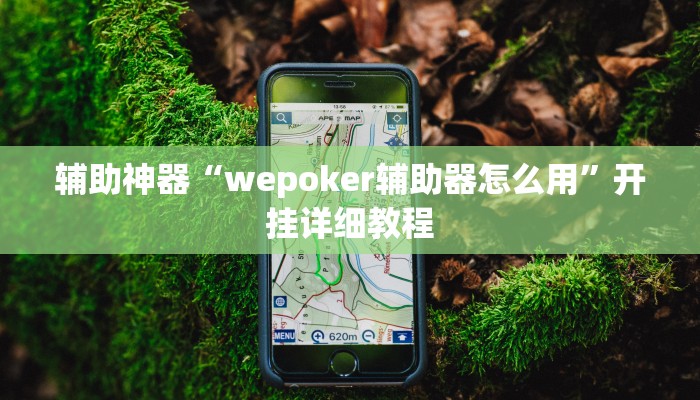 辅助神器“wepoker辅助器怎么用”开挂详细教程 辅助神器“wepoker辅助器怎么用”开挂详细教程