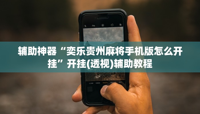 辅助神器“奕乐贵州麻将手机版怎么开挂”开挂(透视)辅助教程 辅助神器“奕乐贵州麻将手机版怎么开挂”开挂(透视)辅助教程