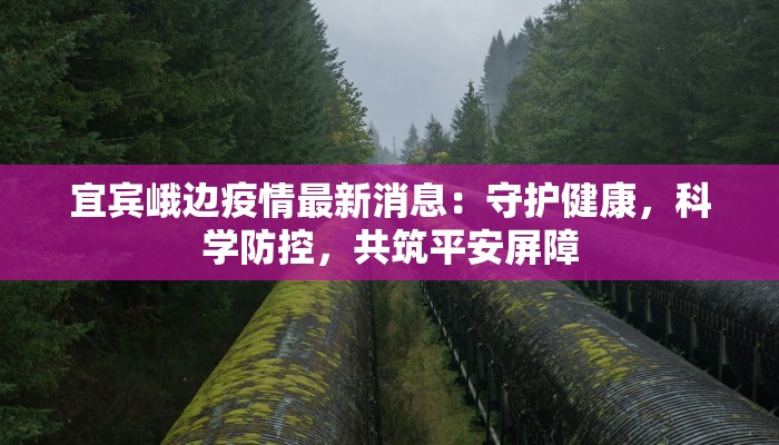 辅助神器“玉山打炸到底有没有挂”(透视)其实确实有挂