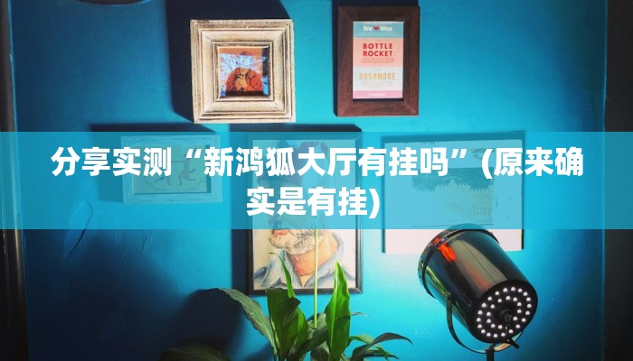 分享实测“新鸿狐大厅有挂吗”(原来确实是有挂) 分享实测“新鸿狐大厅有挂吗”(原来确实是有挂)