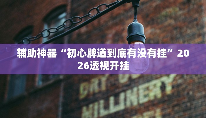 辅助神器“初心牌道到底有没有挂”2026透视开挂