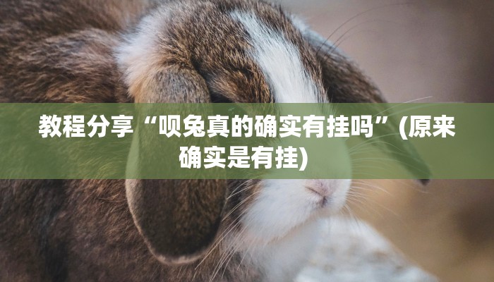 教程分享“呗兔真的确实有挂吗”(原来确实是有挂) 教程分享“呗兔真的确实有挂吗”(原来确实是有挂)