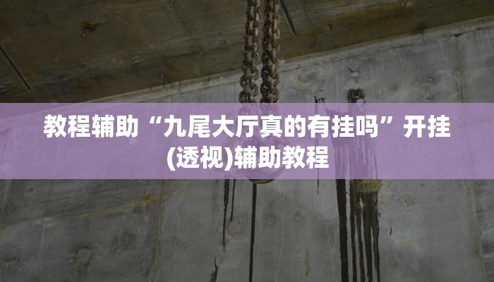 教程辅助“九尾大厅真的有挂吗”开挂(透视)辅助教程