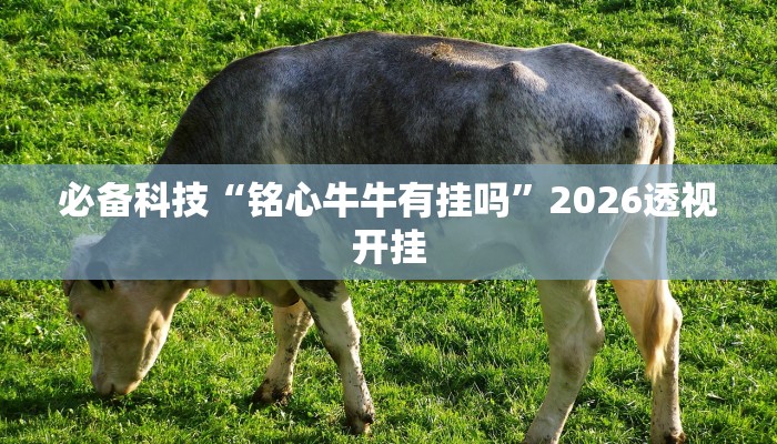 必备科技“铭心牛牛有挂吗”2026透视开挂