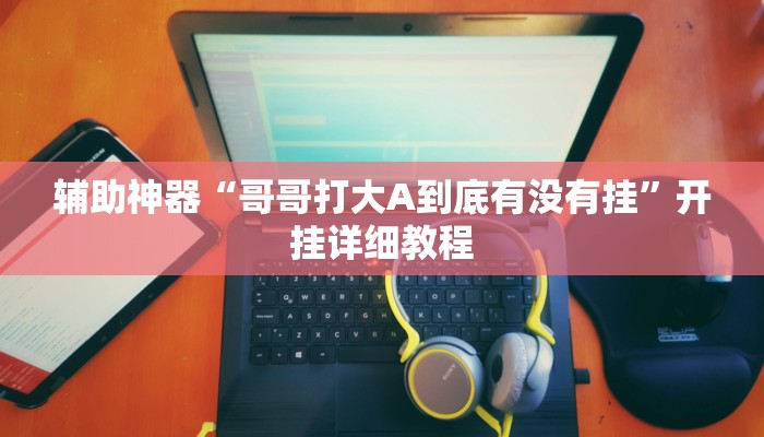 辅助神器“哥哥打大A到底有没有挂”开挂详细教程