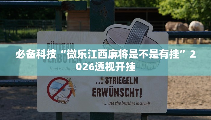 必备科技“微乐江西麻将是不是有挂”2026透视开挂