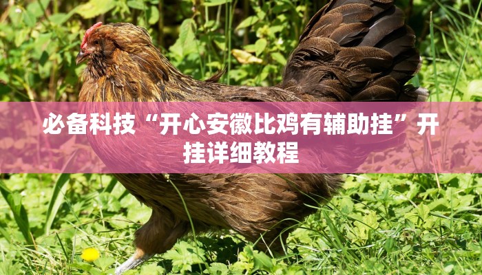 必备科技“开心安徽比鸡有辅助挂”开挂详细教程 必备科技“开心安徽比鸡有辅助挂”开挂详细教程