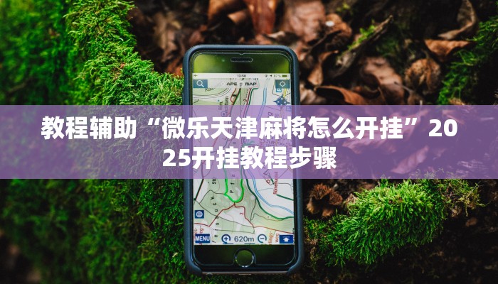 教程辅助“微乐天津麻将怎么开挂”2025开挂教程步骤